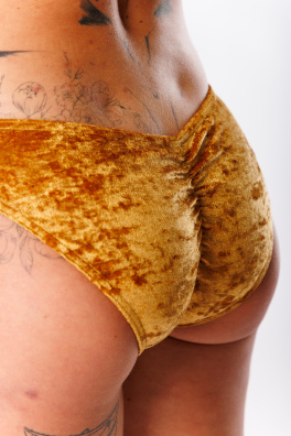 GoldBee Sametové Plavky Kalhotky Gold (Barva Gold, Velikost L)